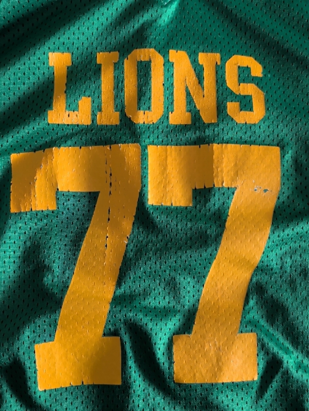 Green "LIONS" Football Jersey with Yellow Numbers - Picture 3 of 5